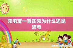 充电宝一直在充为什么还是满电