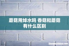 蘑菇用焯水吗 香菇和蘑菇有什么区别
