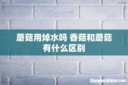 蘑菇用焯水吗 香菇和蘑菇有什么区别