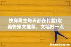 耽美快穿文推荐，文笔好一点 快穿男主每天都在打脸