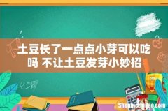 土豆长了一点点小芽可以吃吗 不让土豆发芽小妙招