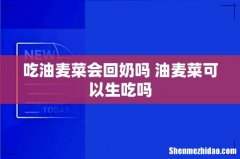吃油麦菜会回奶吗 油麦菜可以生吃吗