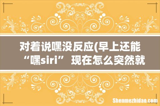 早上还能“嘿siri” 现在怎么突然就没反应了 对着说嘿没反应