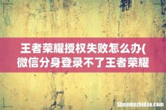 微信分身登录不了王者荣耀怎么办 王者荣耀授权失败怎么办