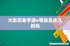 火影忍者手游v等级是永久的吗