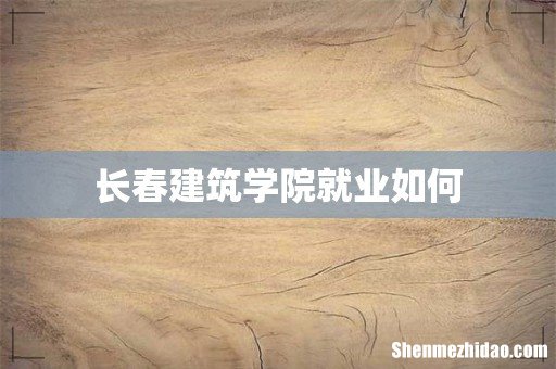 长春建筑学院就业如何
