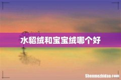水貂绒和宝宝绒哪个好