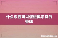 什么东西可以促进奥尔良的香味