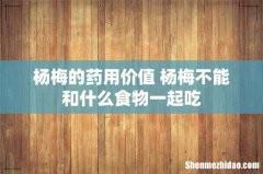 杨梅的药用价值 杨梅不能和什么食物一起吃