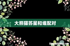 大熊猫苏星和谁配对