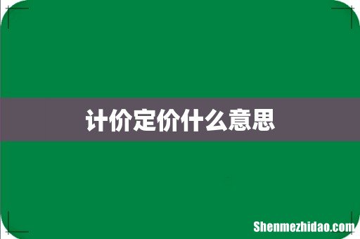 计价定价什么意思