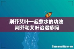 荆芥艾叶一起煮水的功效 荆芥和艾叶治湿疹吗