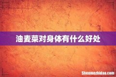 油麦菜对身体有什么好处