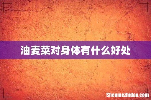 油麦菜对身体有什么好处