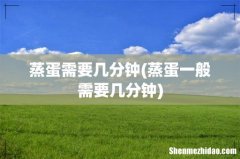 蒸蛋一般需要几分钟 蒸蛋需要几分钟