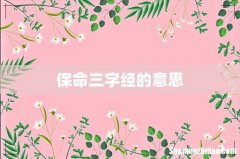保命三字经的意思