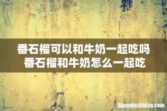 番石榴可以和牛奶一起吃吗 番石榴和牛奶怎么一起吃