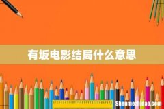 有坂电影结局什么意思