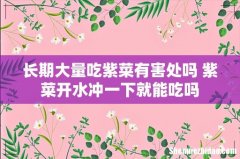 长期大量吃紫菜有害处吗 紫菜开水冲一下就能吃吗