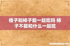 橙子和柿子能一起吃吗 柿子不能和什么一起吃