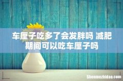 车厘子吃多了会发胖吗 减肥期间可以吃车厘子吗