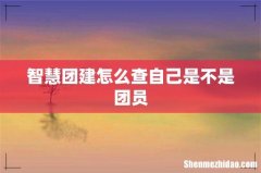 智慧团建怎么查自己是不是团员