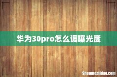 华为30pro怎么调曝光度