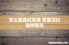 怎么挑选红苋菜 苋菜可以凉拌吃吗