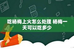 吃杨梅上火怎么处理 杨梅一天可以吃多少