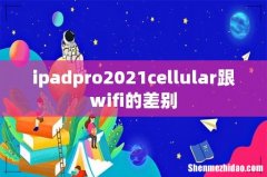 ipadpro2021cellular跟wifi的差别
