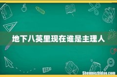 地下八英里现在谁是主理人