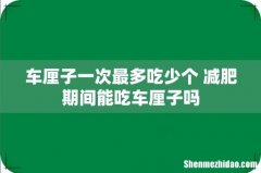 车厘子一次最多吃少个 减肥期间能吃车厘子吗