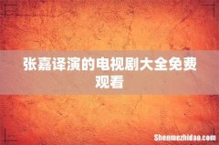 张嘉译演的电视剧大全免费观看