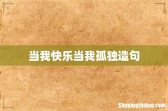 当我快乐当我孤独造句