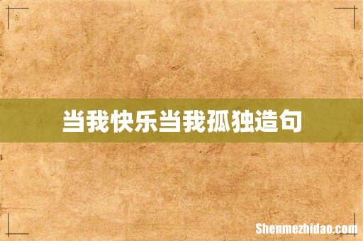 当我快乐当我孤独造句