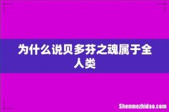 为什么说贝多芬之魂属于全人类