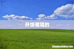 开饭谁唱的