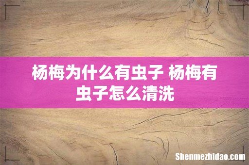 杨梅为什么有虫子 杨梅有虫子怎么清洗