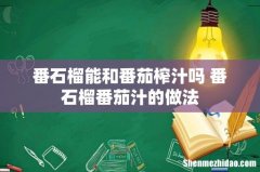 番石榴能和番茄榨汁吗 番石榴番茄汁的做法