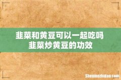 韭菜和黄豆可以一起吃吗 韭菜炒黄豆的功效