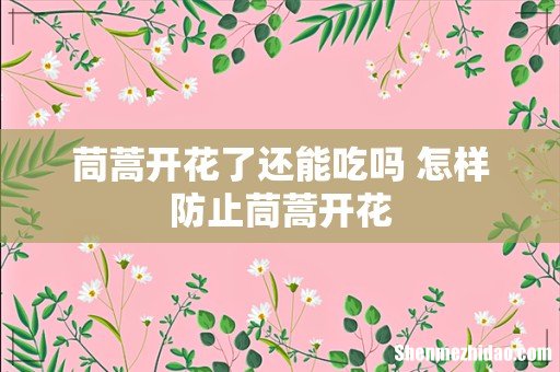 茼蒿开花了还能吃吗 怎样防止茼蒿开花