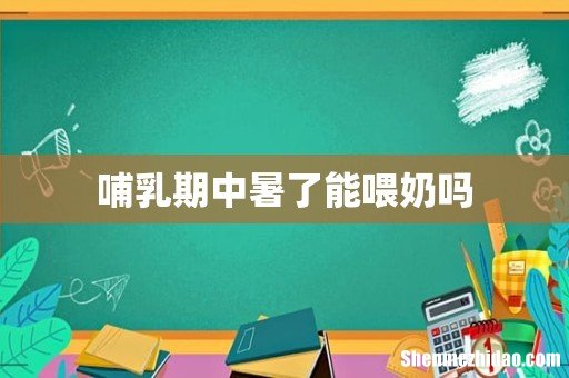 哺乳期中暑了能喂奶吗