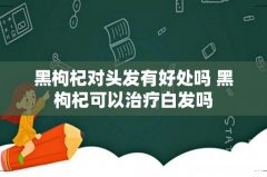 黑枸杞对头发有好处吗 黑枸杞可以治疗白发吗