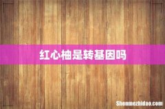红心柚是转基因吗