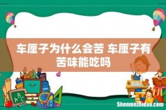 车厘子为什么会苦 车厘子有苦味能吃吗