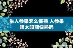 生人参果怎么催熟 人参果晒太阳能快熟吗