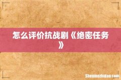 怎么评价抗战剧《绝密任务》