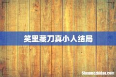 笑里藏刀真小人结局