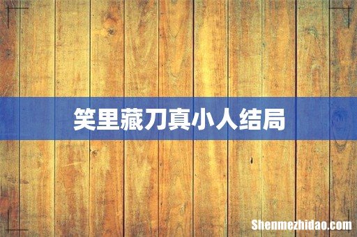 笑里藏刀真小人结局