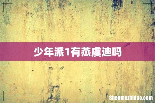 少年派1有燕虞迪吗